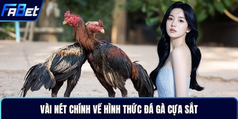 Vài nét chính về hình thức đá gà cựa sắt